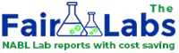 FairLabs Logo