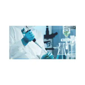 certifications audit services in India