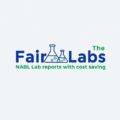 Thefairlabs Logo