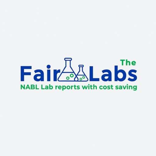 Thefairlabs Logo